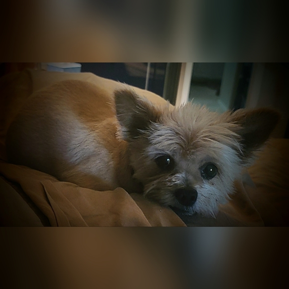 Meet your Posher, Dorothy - Picture 11 of 12